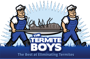 The-Termite-Boys-Logo-bluebg1