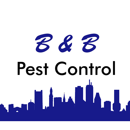 11 Tips To Help Keep Your Work Rodent Free | B&B Pest Control