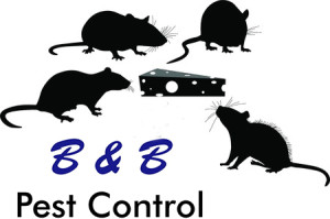 South Boston Rodent Control