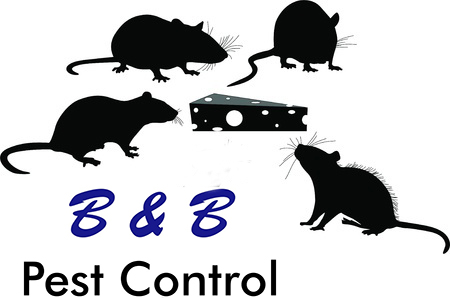 Its Always Rodent Season | B&B Pest Control
