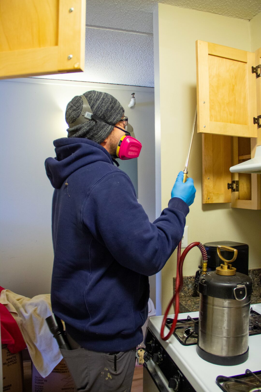 BBPestLynnShoot0118min B & B Pest Control