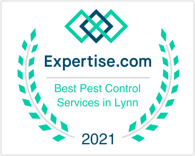 Best Pest Control Services in Lynn
