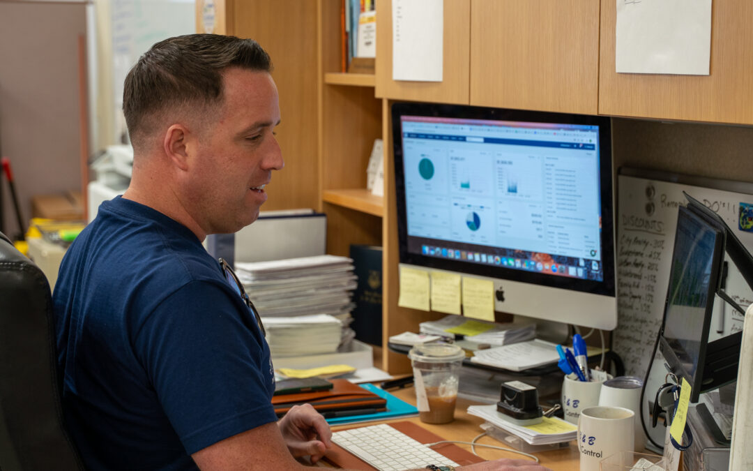 Your Guide to Mice in Massachusetts