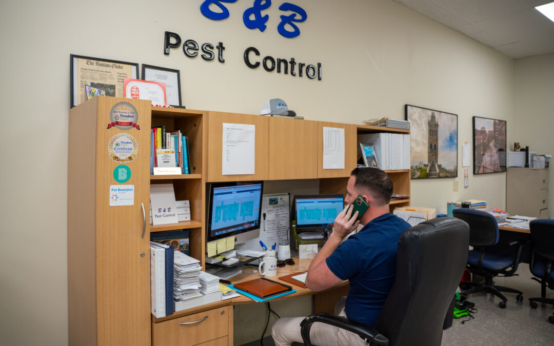 Keep Mice Outside Where They Belong: Expert Prevention Tips